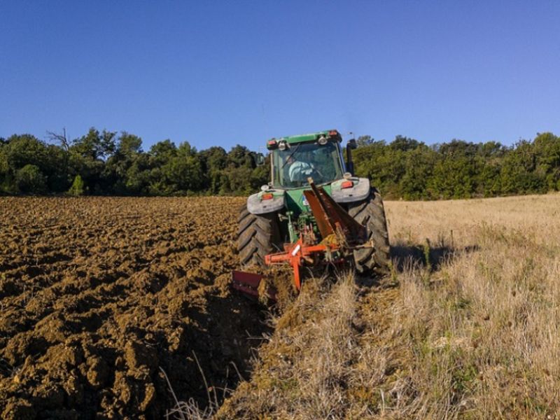 La Junta activa una línea de préstamos para los agricultores andaluces sin necesidad de avales