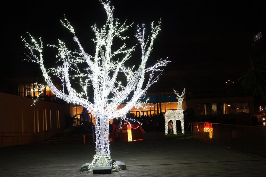 La Diputación inaugura la Navidad con actividades para todos los públicos y el tradicional Belén y alumbrado de su sede