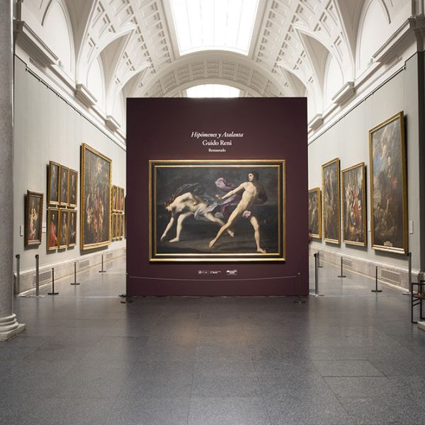 El Museo del Prado presenta Hipómenes y Atalanta de Guido Reni en un emplazamiento singular