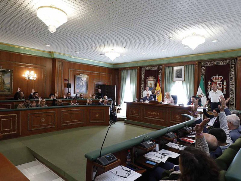El Pleno aprueba iniciar el procedimiento para la concesión de las Medallas de la Ciudad 2024 a la Hermandad de la Virgen del Carmen, la UD San Pedro y la Comisaría de Policía de Marbella