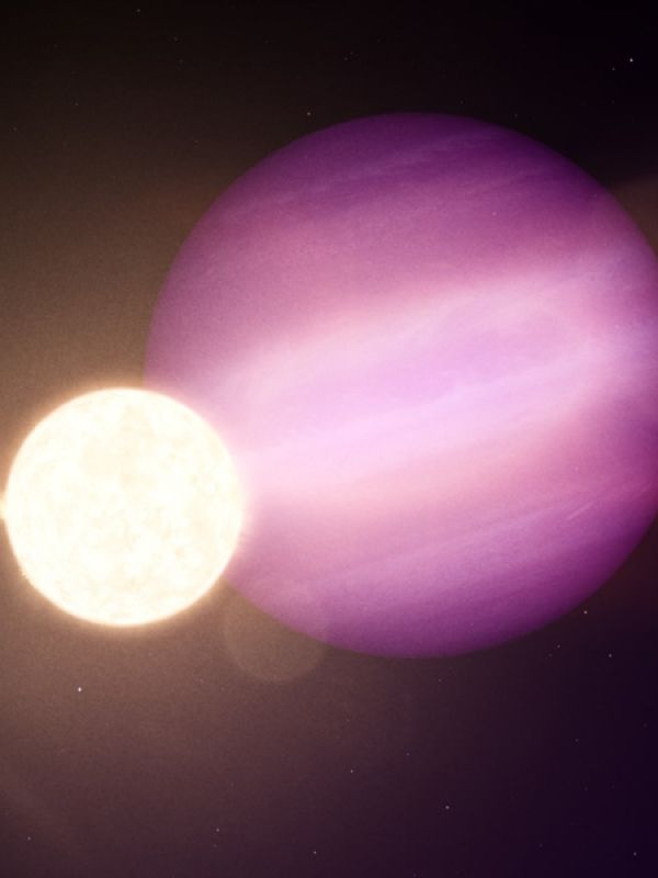 El telescopio TESS detecta el primer planeta "superviviente" orbitando una estrella enana blanca