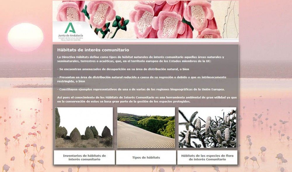 Una guía recopila los más de 70 tipos y subtipos de hábitats naturales terrestres de Andalucía