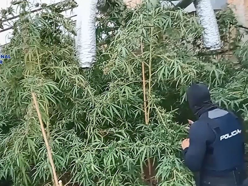 La Policía Nacional desmantela una red de narcotráfico y blanqueo de capitales que lideraban tres empresarios de la Axarquía