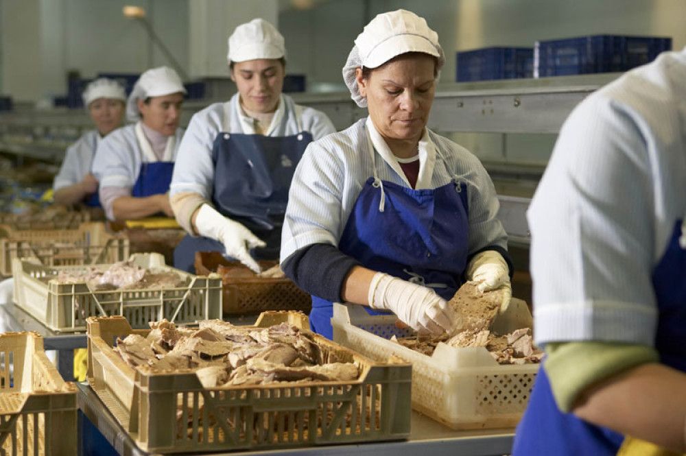 El empleo aumenta en 117.000 afiliados en términos desestacionalizados en el periodo que va de mitad de abril a mitad de mayo