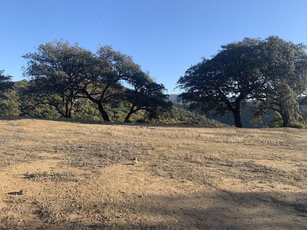 La Diputación proyecta en la zona norte del Valle del Genal la construcción de una balsa contra incendios y una plataforma de helipuerto